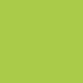 hellgrün  - Korpusschrank mit 1 fest Einlegeböden und 1 einstellbar Einlegeböden und Rückwand bis 1/3